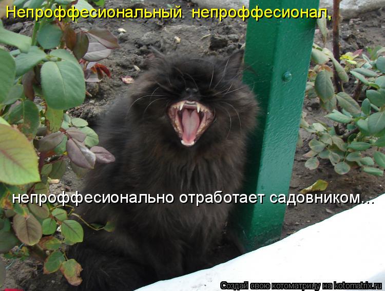 Непроффесиональный непроффесионал, непроффесионально отработает садовником...... Котоматрица: Непроффесиональный непроффесионал, непроффесионально отработает садовником...