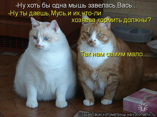 -Ну хоть бы одна мышь завелась,Вась... -Ну ты даешь,Мусь,и их,что-ли хозяева кормить должны? Так нам... Котоматрица: -Ну хоть бы одна мышь завелась,Вась... -Ну ты даешь,Мусь,и их,что-ли хозяева кормить должны? Так нам самим мало....
