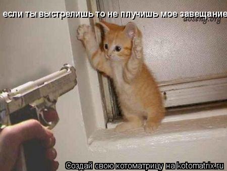 если ты выстрелишь то не плучишь мое завещание!... Котоматрица: если ты выстрелишь то не плучишь мое завещание!