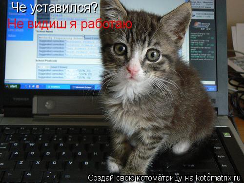 Котоматрица: Че уставился? Не видиш я работаю