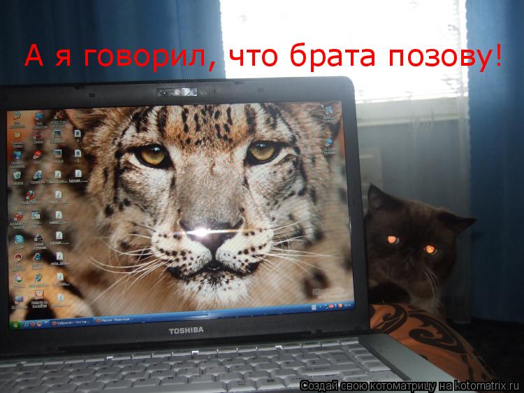 А я говорил, что брата позову!... Котоматрица: А я говорил, что брата позову!