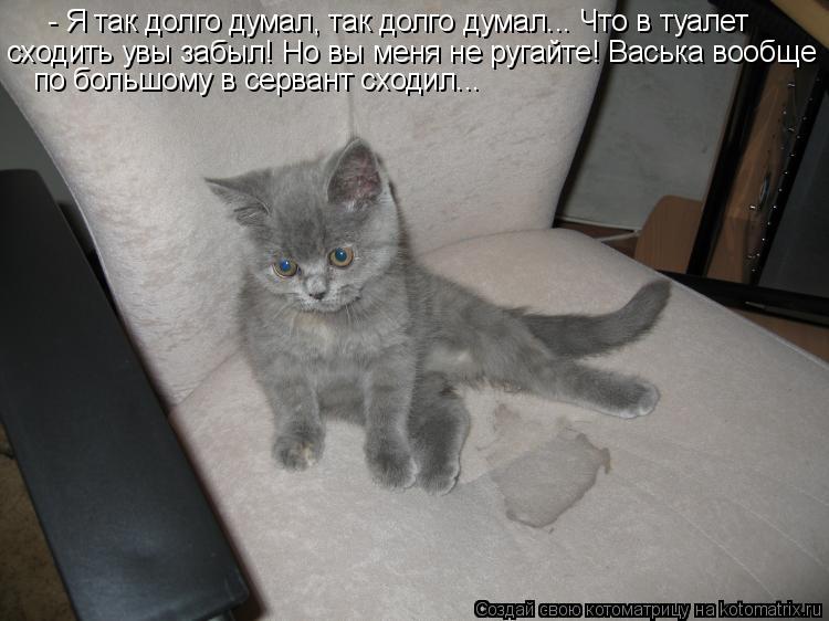 - Я так долго думал, так долго думал... Что в туалет сходить увы забыл! Но вы меня не ругайте! Васьк... Котоматрица: - Я так долго думал, так долго думал... Что в туалет сходить увы забыл! Но вы меня не ругайте! Васька вообще по большому в сервант сходил...