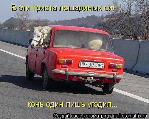 В эти триста лошадиных сил конь один лишь угодил...... Котоматрица: В эти триста лошадиных сил конь один лишь угодил...