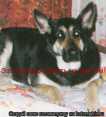 Ээх-хорошо лежать на мягком!... Котоматрица: Ээх-хорошо лежать на мягком!