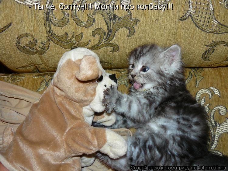 - Ты че, болтун!!! Молчи про колбасу!!!... Котоматрица: - Ты че, болтун!!! Молчи про колбасу!!!