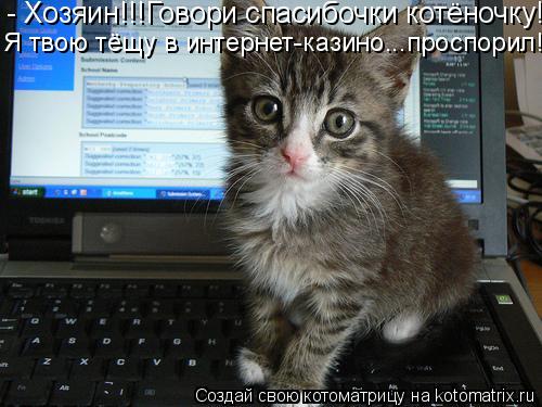 - Хозяин!!!Говори спасибочки котёночку! Я твою тёщу в интернет-казино...проспорил!... Котоматрица: - Хозяин!!!Говори спасибочки котёночку! Я твою тёщу в интернет-казино...проспорил!