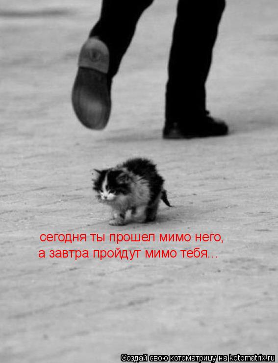 сегодня ты прошел мимо него, а завтра пройдут мимо тебя...... Котоматрица: сегодня ты прошел мимо него, а завтра пройдут мимо тебя...