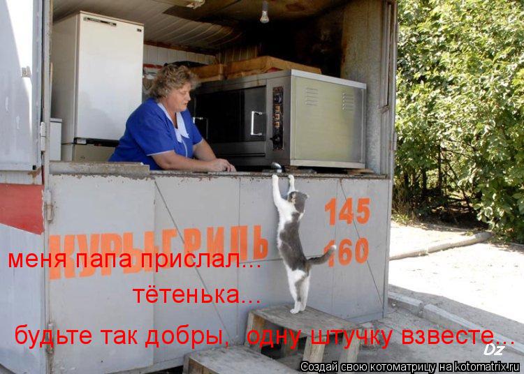 будьте так добры, одну штучку взвесте... тётенька... меня папа прислал...... Котоматрица: будьте так добры, одну штучку взвесте... тётенька... меня папа прислал...