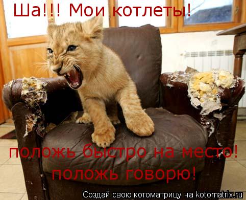 Ша!!! Мои котлеты! положь быстро на место! положь говорю!... Котоматрица: Ша!!! Мои котлеты! положь быстро на место! положь говорю!