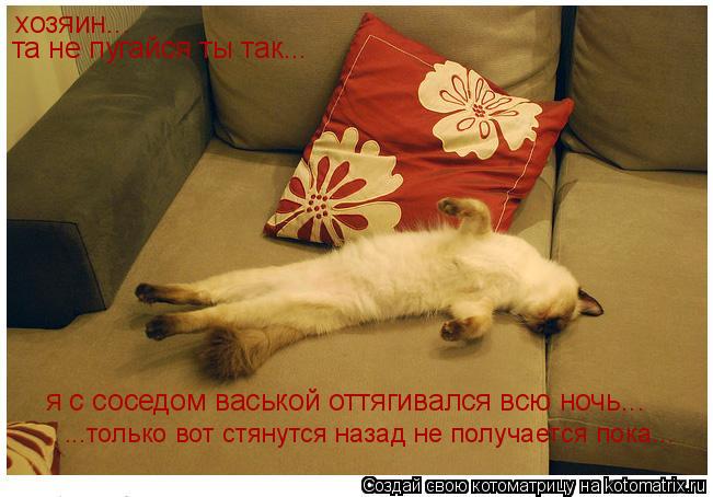 хозяин... та не пугайся ты так... я с соседом васькой оттягивался всю ночь... ...только вот стянутся ... Котоматрица: хозяин... та не пугайся ты так... я с соседом васькой оттягивался всю ночь... ...только вот стянутся назад не получается пока...