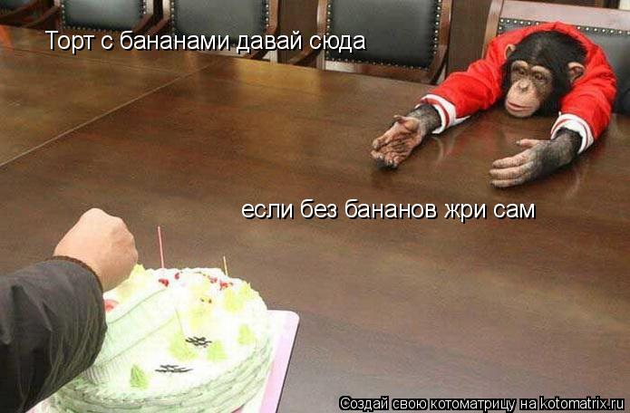 Торт с бананами давай сюда если без бананов жри сам... Котоматрица: Торт с бананами давай сюда если без бананов жри сам