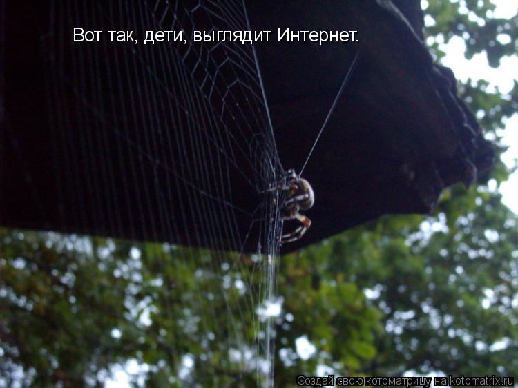 Вот так, дети, выглядит Интернет.... Котоматрица: Вот так, дети, выглядит Интернет.