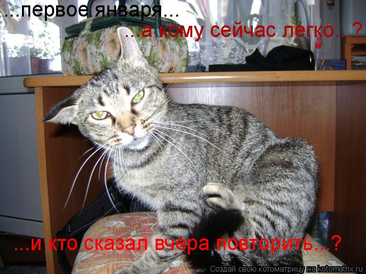 ...первое января... ...а кому сейчас легко...? ...и кто сказал вчера повторить...?... Котоматрица: ...первое января... ...а кому сейчас легко...? ...и кто сказал вчера повторить...?