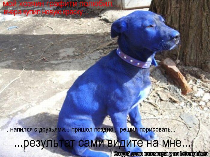 мой хозяин графити полюбил... вчера купил новую краску... ...напился с друзьями... пришол поздно... р... Котоматрица: мой хозяин графити полюбил... вчера купил новую краску... ...напился с друзьями... пришол поздно... решил порисовать... ...результат сами видите на