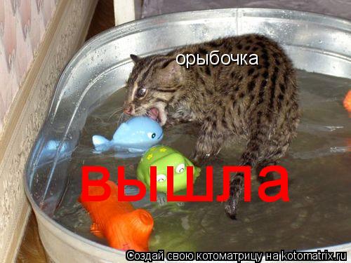 Котоматрица: орыбочка вышла