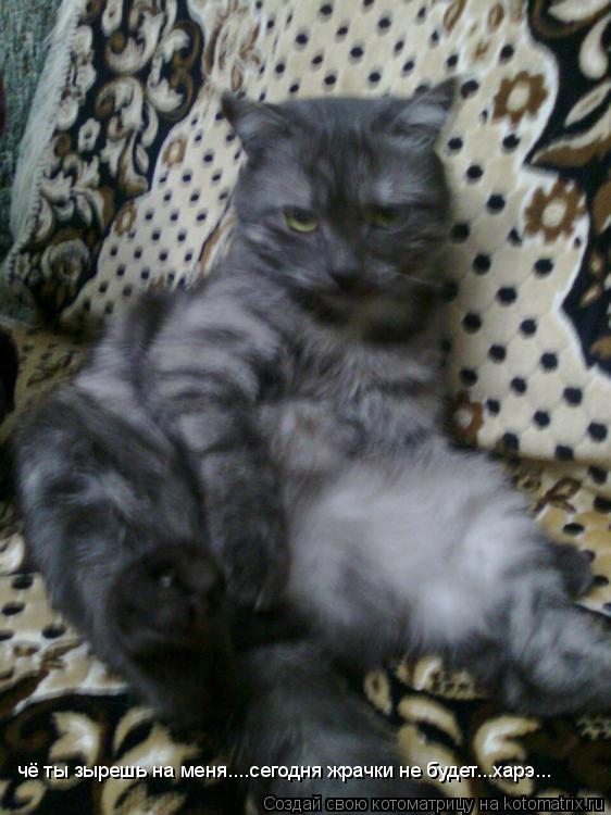 Котоматрица: чё ты зырешь на меня....сегодня жрачки не будет...харэ...