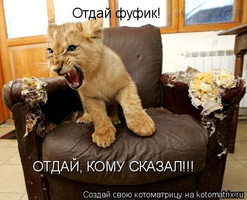 Котоматрица: Отдай фуфик! ОТДАЙ, КОМУ СКАЗАЛ!!!