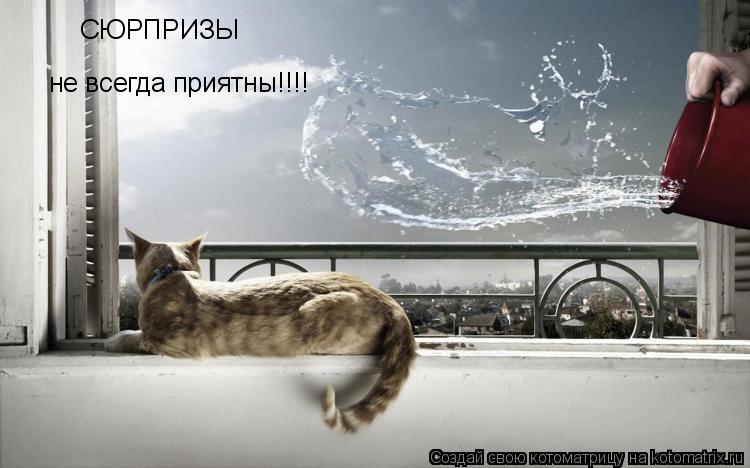 Котоматрица: СЮРПРИЗЫ не всегда приятны!!!!