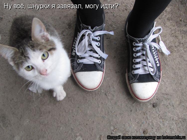 Котоматрица: Ну всё, шнурки я завязал, могу идти?