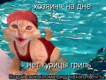 Котоматрица: хозяин - на дне  - нет курицы гриль