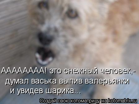 Котоматрица: думал васька выпив валерьянки и увидев шарика... АААААААА! это снежный человек,-