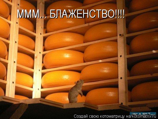 Котоматрица: МММ... БЛАЖЕНСТВО!!!!
