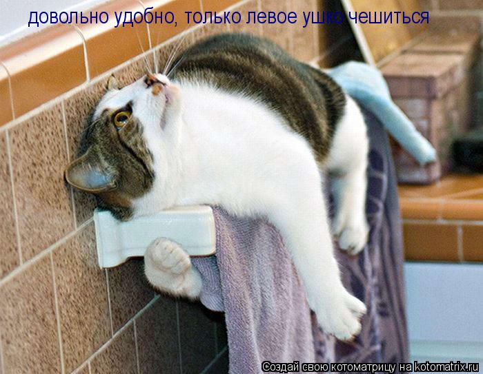 Котоматрица: довольно удобно, только левое ушко чешиться