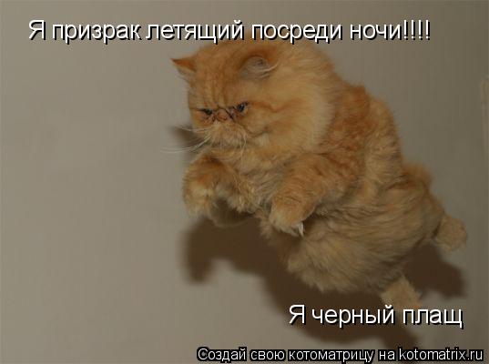 Котоматрица: Я призрак летящий посреди ночи!!!! Я призрак летящий посреди ночи!!!! Я чорный плащ Я черный плащ Я черный плащ