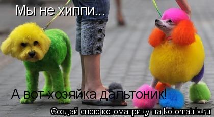 Котоматрица: Мы не хиппи... А вот хозяйка дальтоник!