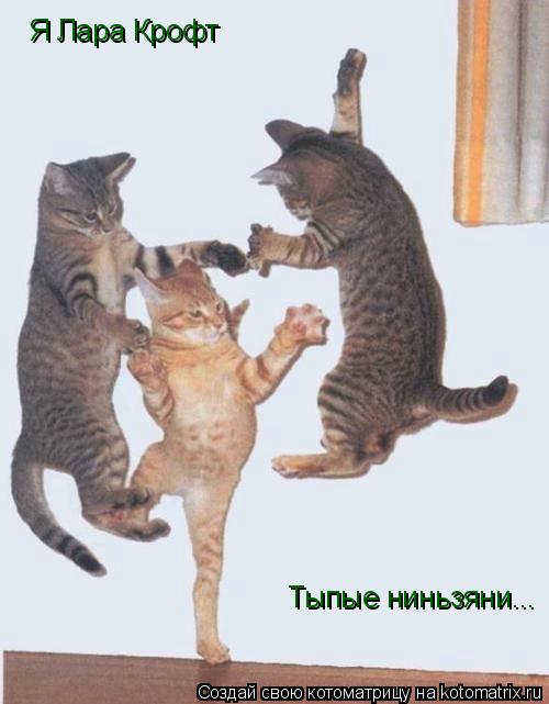 Котоматрица: Я Лара Крофт Тыпые ниньзяни...