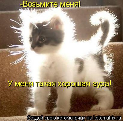 Котоматрица: -Возьмите меня! У меня такая хорошая аура!