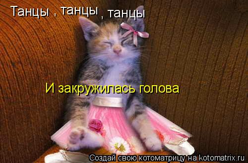 Котоматрица: Танцы , танцы , танцы И закружилась голова