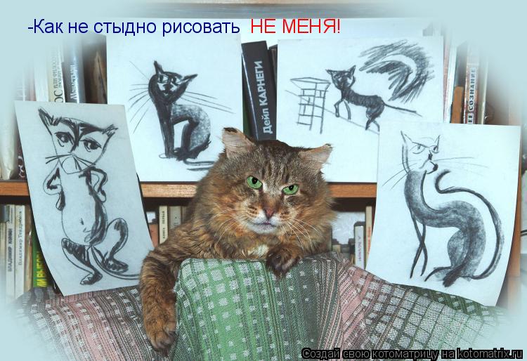 Котоматрица: -Как не стыдно рисовать  НЕ МЕНЯ!