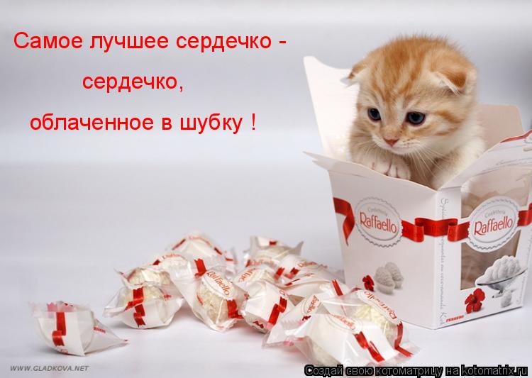 Котоматрица: Самое лучшее сердечко - сердечко,  облаченное в шубку !