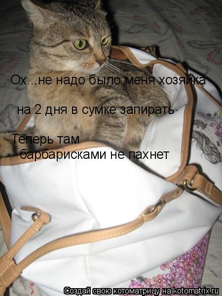 Котоматрица: Ох...не надо было меня хозяйка на 2 дня в сумке запирать Теперь там . барбарисками не пахнет