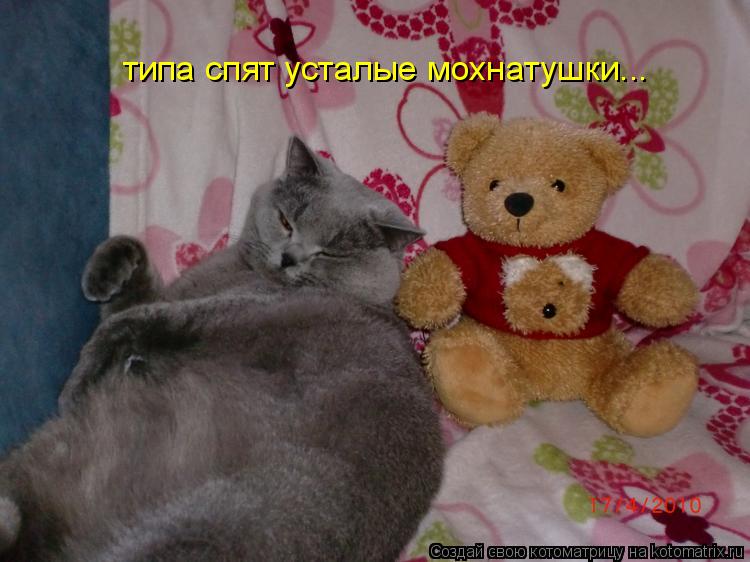 Котоматрица: типа спят усталые мохнатушки...
