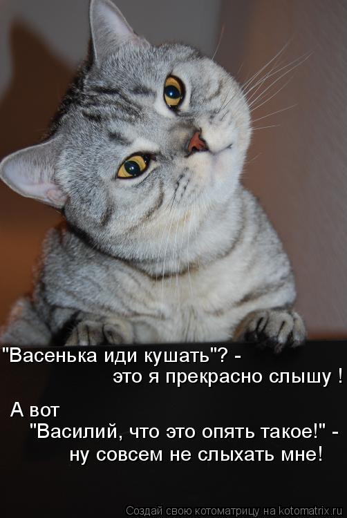 Котоматрица: "Васенька иди кушать"? -  это я прекрасно слышу ! А вот  "Василий, что это опять такое!" -  ну совсем не слыхать мне!