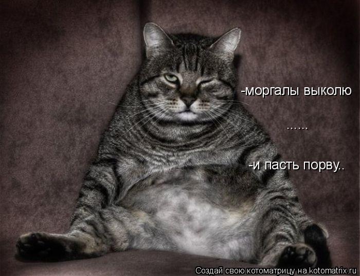 Котоматрица: -и пасть порву.. -моргалы выколю ......