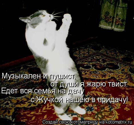 Котоматрица: Музыкален и пушист, от души я жарю твист. Едет вся семья на дачу с Жучкой нашею в придачу!
