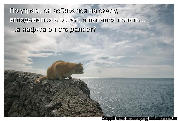 Котоматрица: По утрам, он взбирался на скалу, вглядывался в океан, и пытался понять...  ...а нафига он это делает?