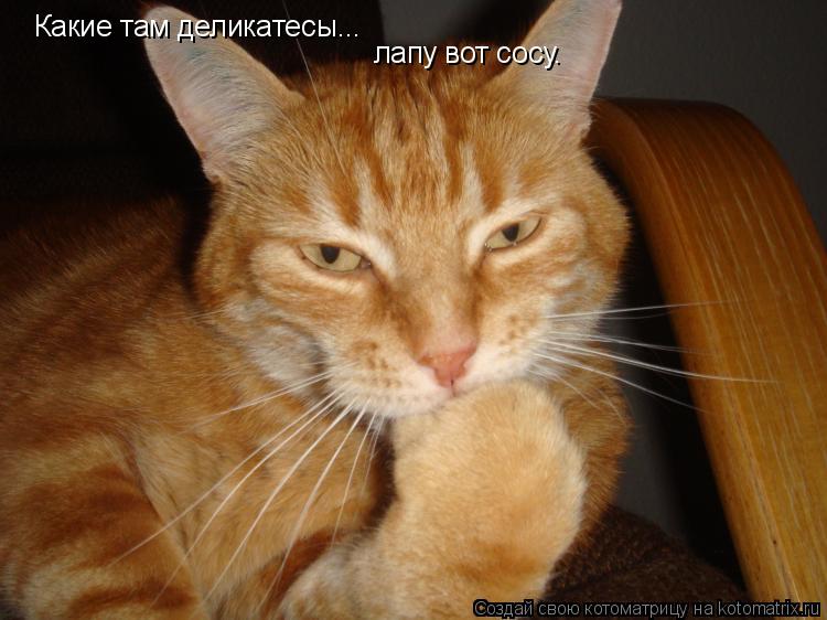 Котоматрица: Какие там деликатесы... лапу вот сосу.
