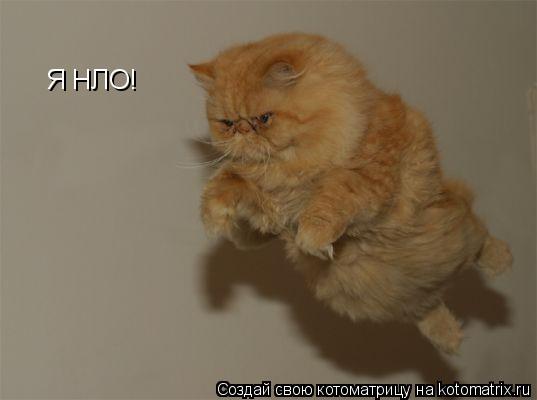 Котоматрица: Я НЛО!