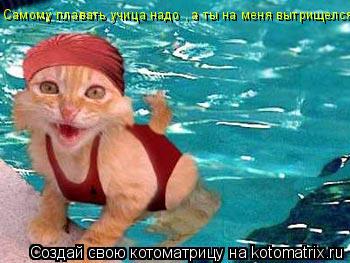 Котоматрица: Самому плавать учица надо , а ты на меня вытрищелся!!!