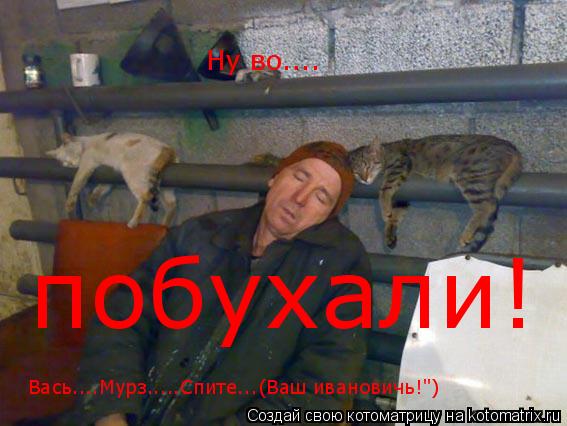Котоматрица: Ну во.... побухали! Вась....Мурз.....Спите...(Ваш ивановичь!")