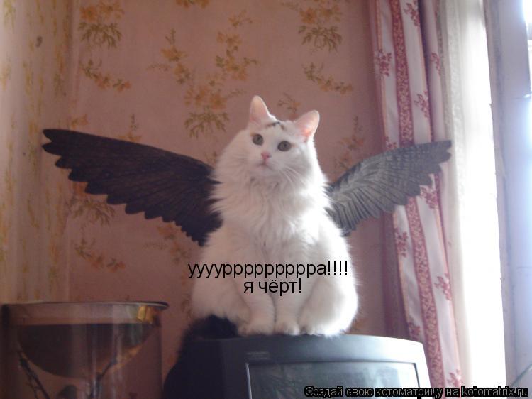 Котоматрица: ууууррррррррра!!!! я чёрт!