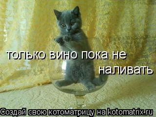 только вино пока не наливать... Котоматрица: только вино пока не наливать