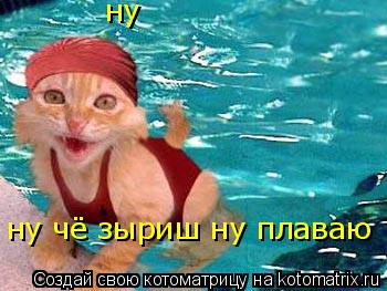 ну ну чё зыриш ну плаваю... Котоматрица: ну ну чё зыриш ну плаваю
