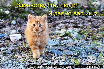 Здравствуйте, люди! Я давно вас ищу...... Котоматрица: Здравствуйте, люди! Я давно вас ищу...