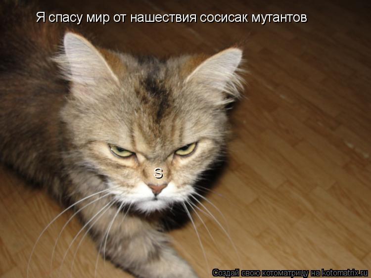 Котоматрица: Я спасу мир от нашествия сосисак мутантов S