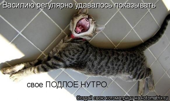 Котоматрица: Василию регулярно удавалось показывать  свое ПОДЛОЕ НУТРО.
